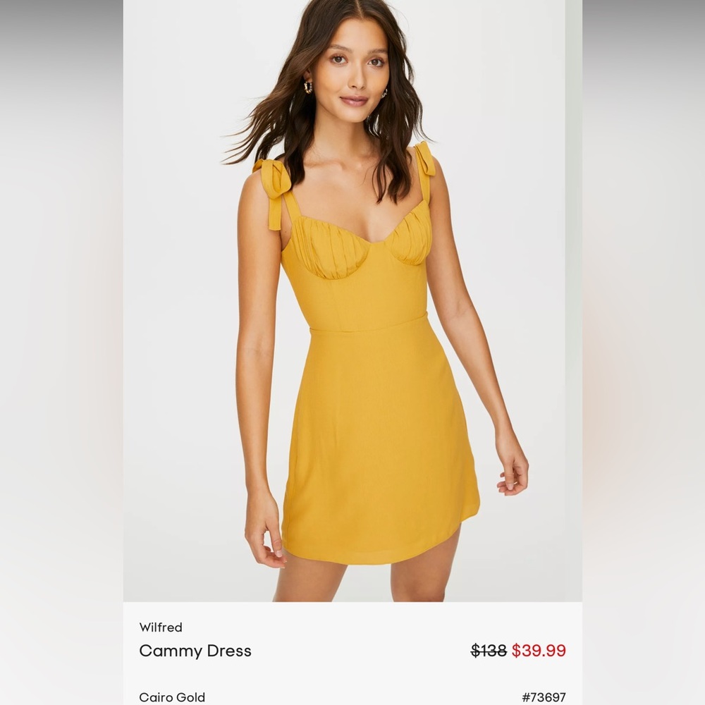 Aritzia Wilfred Cammy dress